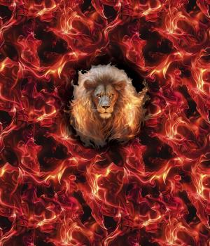 On Fire - Panelbild Löwe 70cm - BIO French Terry