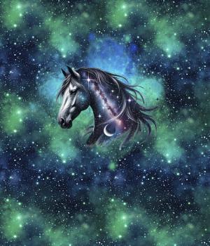 Preview: Galaxy Pferd Panel – BIO French Terry