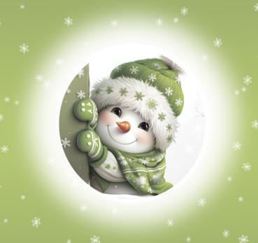 It's cold outside - Schneemann grün - BIO French Terry