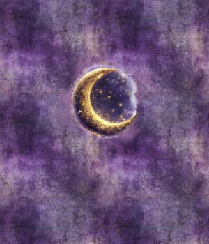 Midnight Garden - Mond 70cm - BIO French Terry