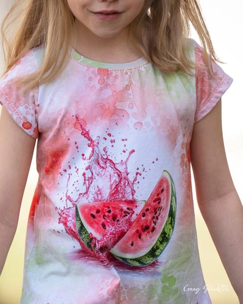 Fruits - Panelbild Melone 70cm - BIO Jersey