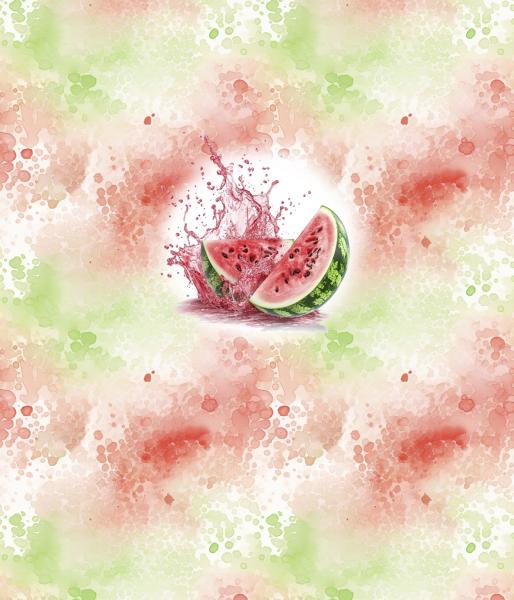 Fruits - Panelbild Melone 70cm - BIO Jersey