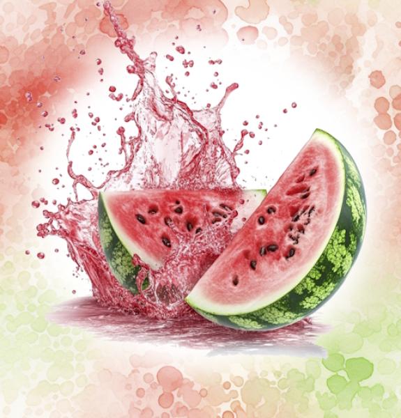 Fruits - Panelbild Melone 70cm - BIO Jersey