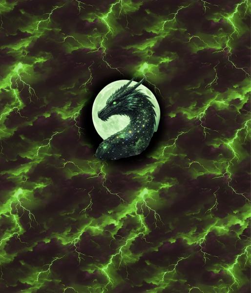 Drachen - Panelbild Drache grün 70cm - BIO French Terry