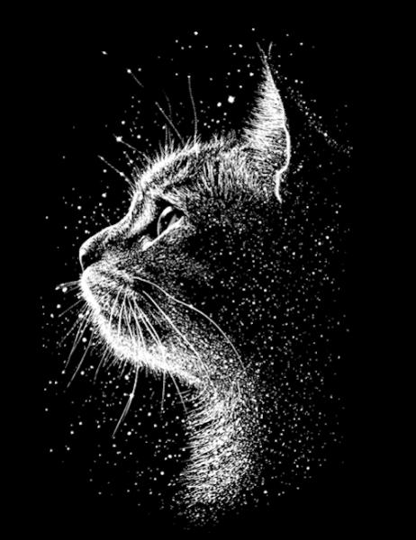 Wild - Panelbild Katze 70cm - BIO French Terry