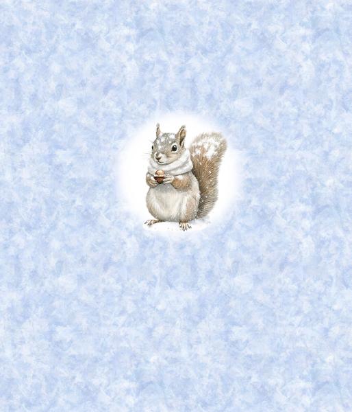 Winter Panel Eichhörnchen - BIO French Terry