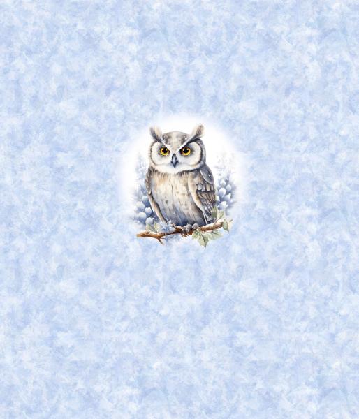Winter Panel Eule - BIO French Terry