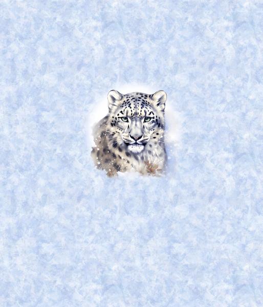 Winter Panel Leopard - BIO French Terry