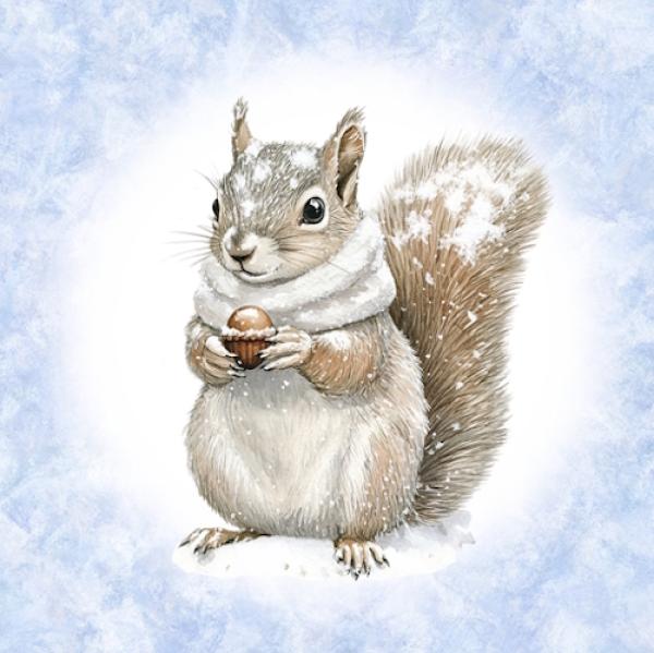Winter Panel Eichhörnchen - BIO French Terry