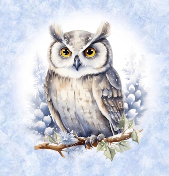 Winter Panel Eule - BIO French Terry