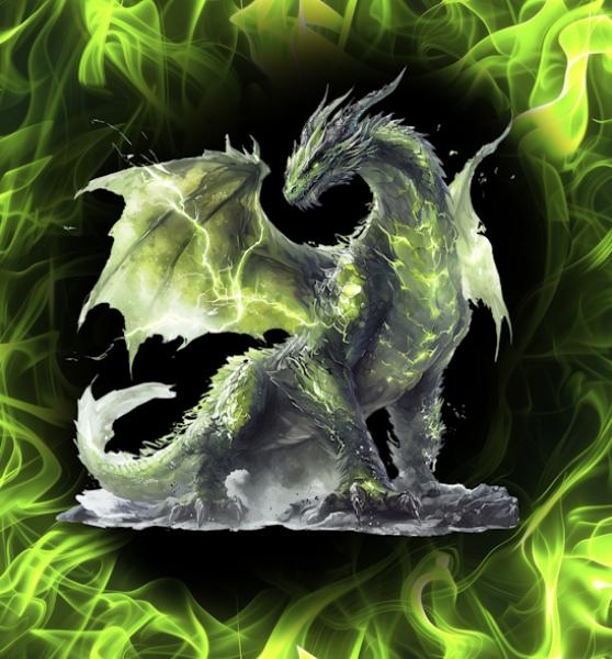 On Fire - Panelbild Drache grün 70cm - BIO French Terry