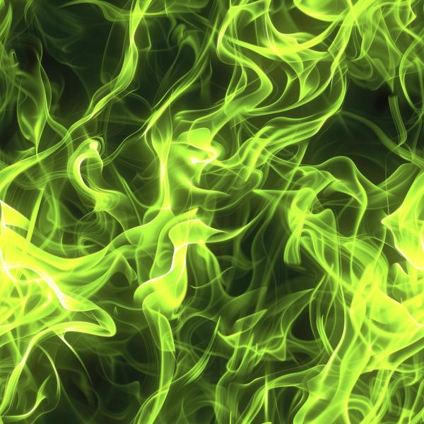 Flammen Grün Stoff – BIO French Terry