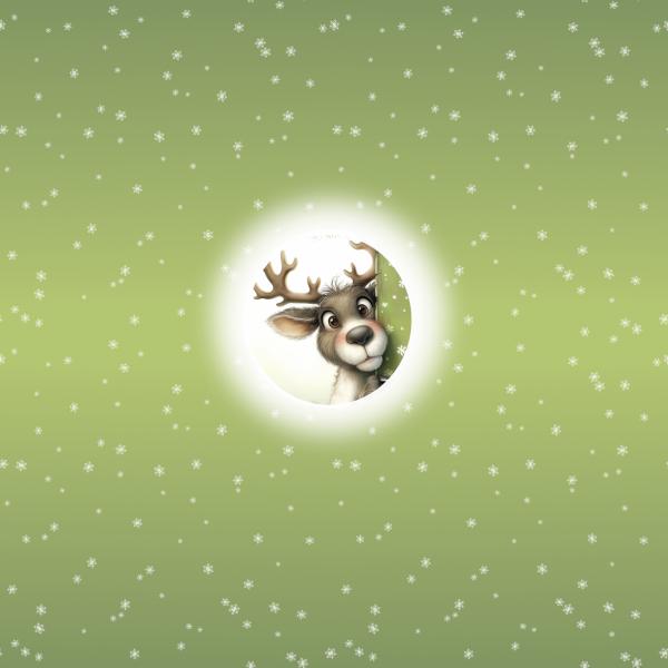 It's cold outside - Rentier grün - BIO French Terry