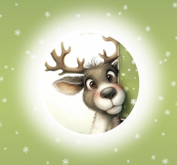 It's cold outside - Rentier grün - BIO French Terry